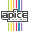 Apice grfica, impresin y reprografia