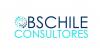 Bs chile consultores limitada